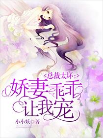 一区二区三高 清