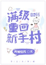西北有高楼小说