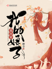 电视剧黎明破晓前免费全集播放