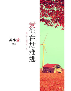 极品开光师全文免费阅读