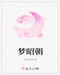 少年阿小宾第二部txt