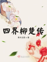 公车系列第7部分