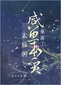 出轨沦陷之官场美妇