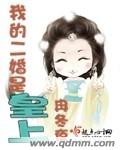 欢欲后宫录