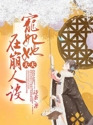 西北有高楼小说