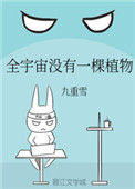 都市贵妇秦风英小说
