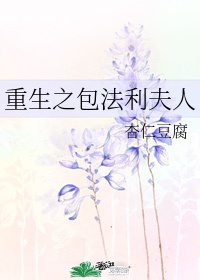 双重调教