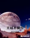 秋葵小蝌蚪榴莲富二代站长统计
