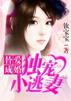777segui视频观看在线播放