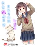 jilebox最新域名