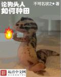 燕四爷乔箐免费阅读小说