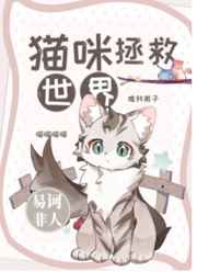 猫咪视频下载官网