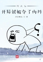征服老丈人张挺之