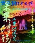 大唐小地主