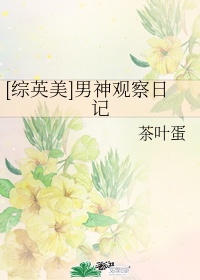 光明骑士