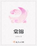 淘宝a视频分类国产