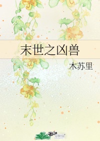 一屋两妻