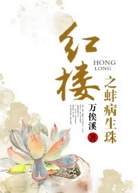 手机理论动漫免费观看