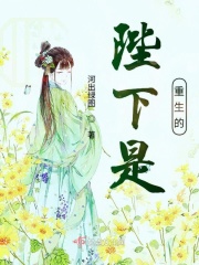 在线视频一二三区2024不卡