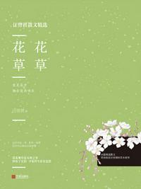 88影视