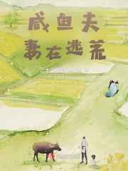 西北有高楼小说