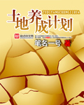 洪欣老公