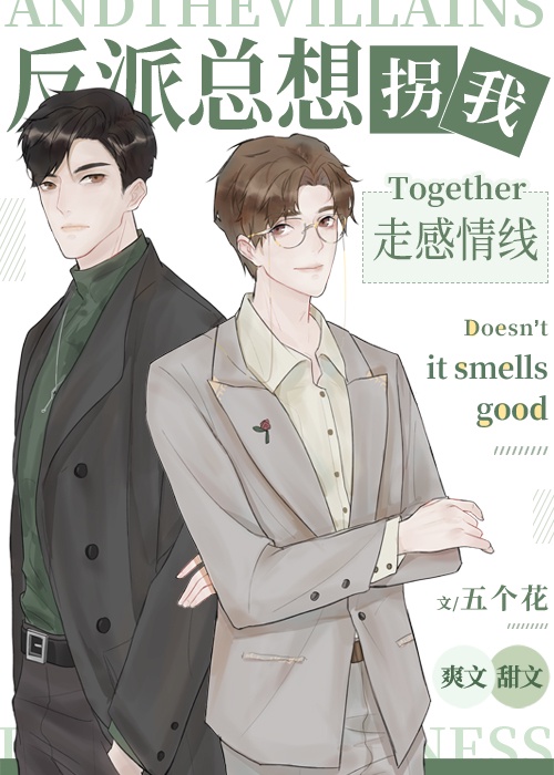 毒岛冴子本子