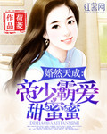 欲海娇妻
