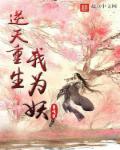 mpt下载