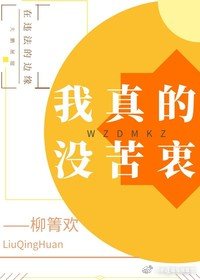 名侦探柯南m26