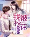 皇上御花园HLH