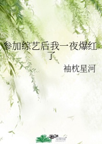 庶女明兰传小说