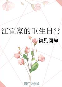 家庭乱论小说