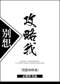 全职高手电视剧西瓜影音