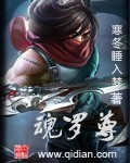 斗罗大陆之宝箱系统