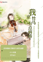 纨绔绝顶风流