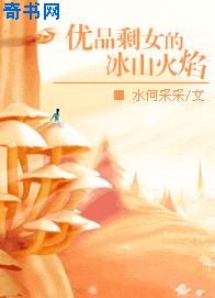 鸥美与动物