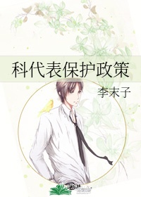 伊斯兰之窗