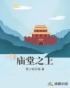 东野圭吾小说