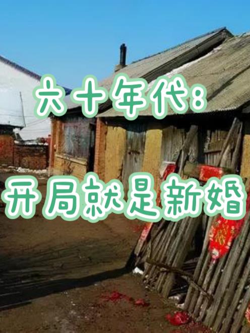 放荡娇妻互换小说