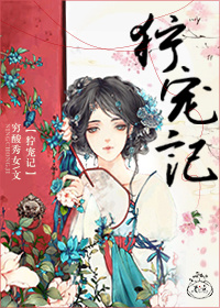 黑律师的痴情