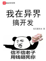 小说百度云
