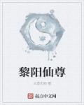 仙尊洛无极动漫免费观看