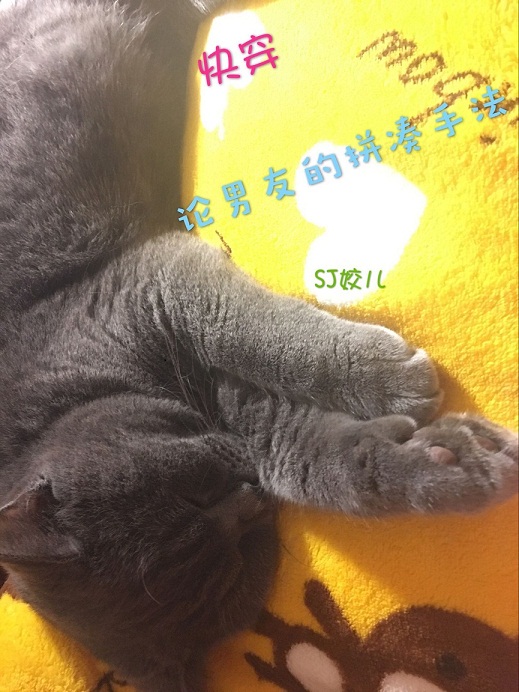 官人我要