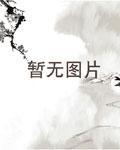 王动wanimal全套下载