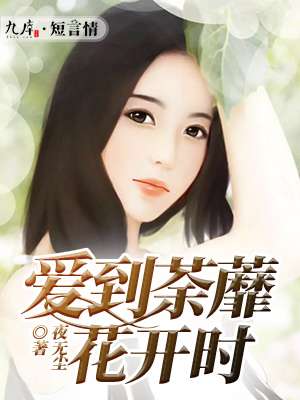 韩剧婚礼
