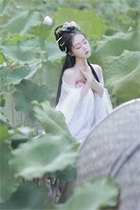 就要耽美窑子开张了