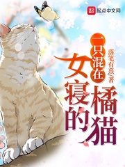 仙楚