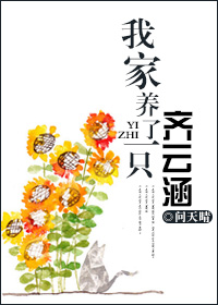 我和总裁相了个亲