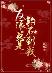 宫如敏不照雅原图